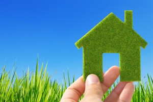 eco-friendly hardwood flooring
